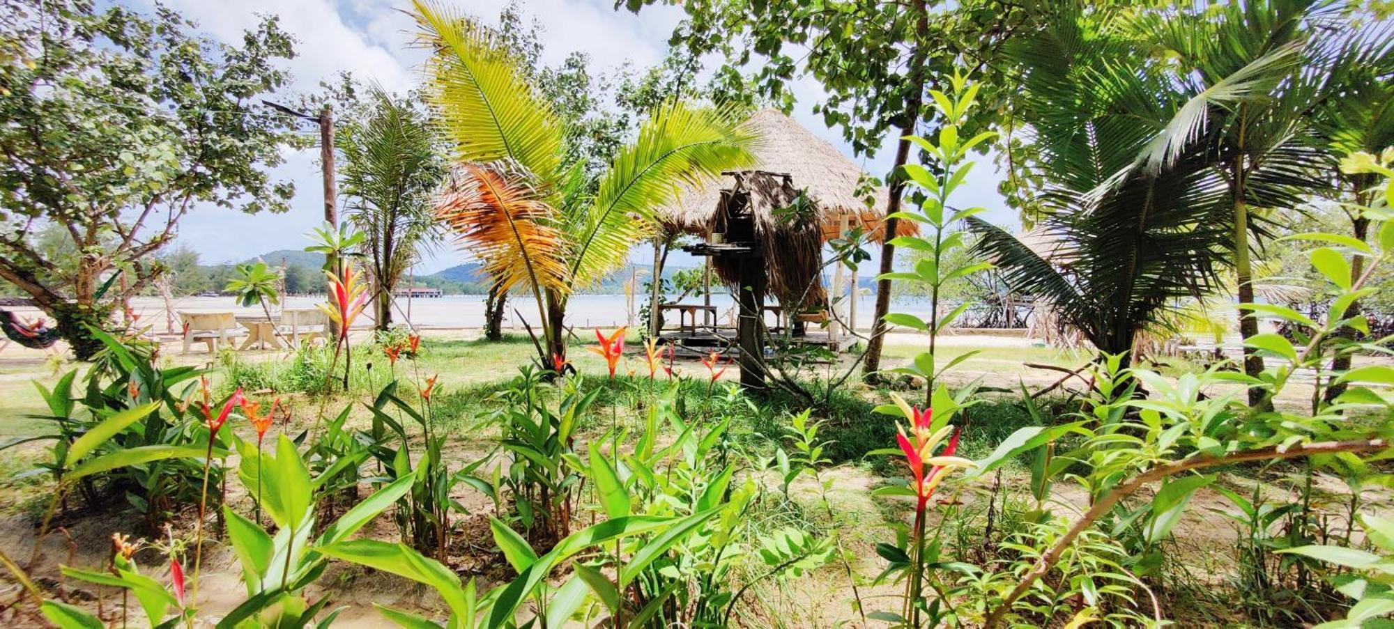 Mangrove Beach Bungalows Koh Rong Sanloem Exterior foto