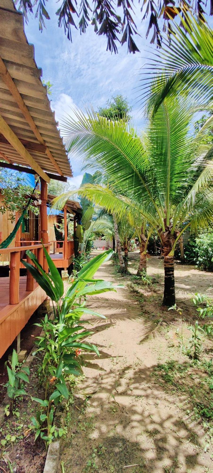 Mangrove Beach Bungalows Koh Rong Sanloem Exterior foto